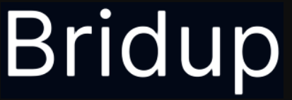 BridUp Logo